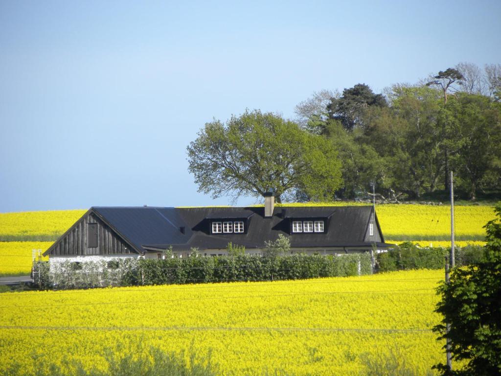 Glimminge Bed & Breakfast Simrishamn Exterior foto